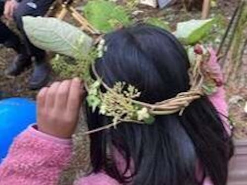 かんむりだって🌳