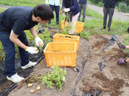 【ツアーの様子】農作業を体験!