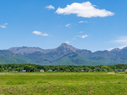 夏の八ヶ岳も最高！