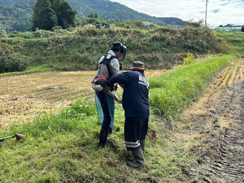 草刈り体験の様子