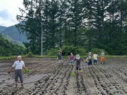 脚本家・絵描き・居候・元居候の人たちと田植え