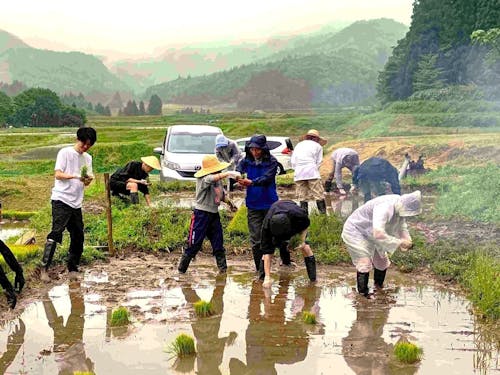食べるお米は自分でつくる(田植え)