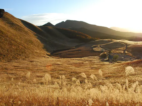 黄金色に輝く曽爾高原