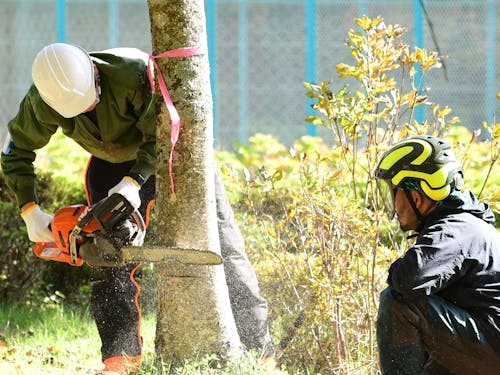 地元の林業事業者によるチェンソー体験