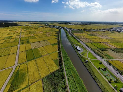 美しい田園や川が多古町の魅力です!