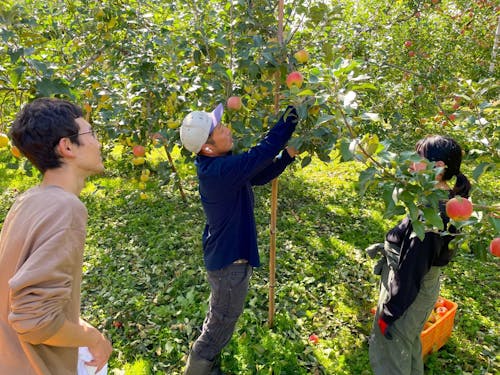 地域内の仕事を組み合わせるマルチワーク