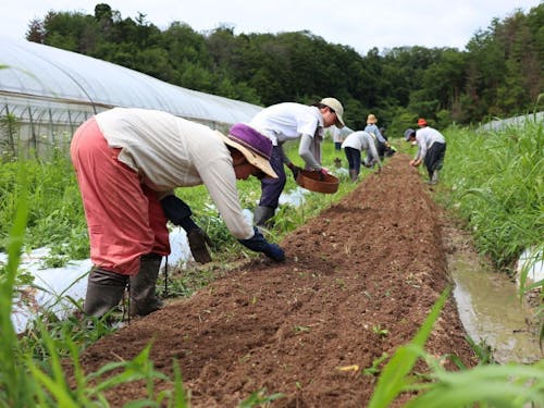 農業法人に勤めて「サラリーマン農業」をするというスタイルもあれば…