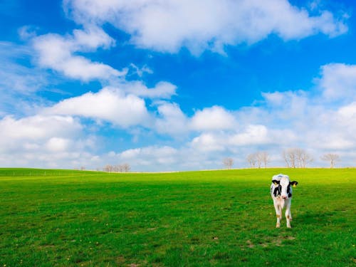 青空と新緑が織りなす、絵本のような風景。理想の子育て環境がここにあります。