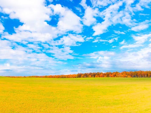北海道スケールの大パノラマ。澄んだ空気を胸いっぱいに吸い込む爽快感を味わえます。