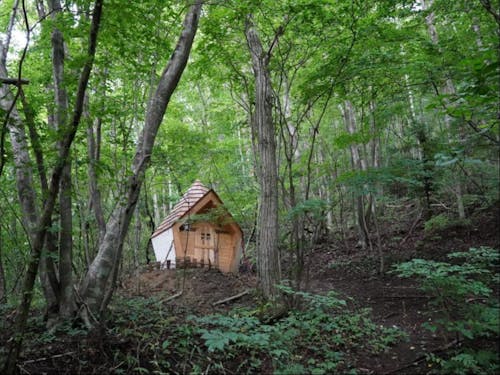 イマーシブ空間「こびとの森」