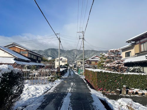 千野の冬の景色
