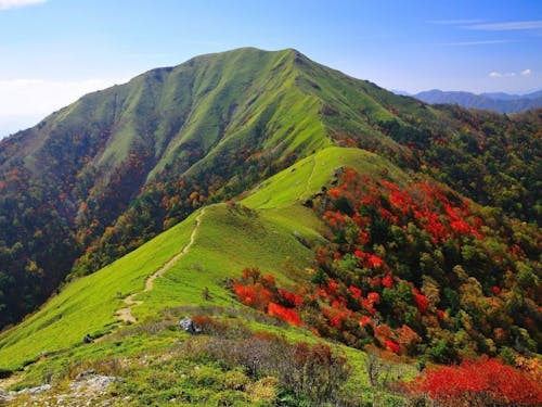 剣山　引用：ツーリズム四国 HP