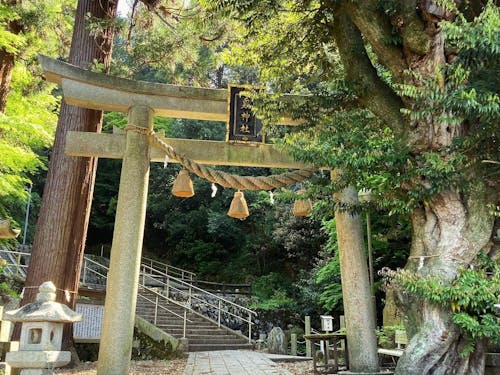 名水１００選の湧き水を利用