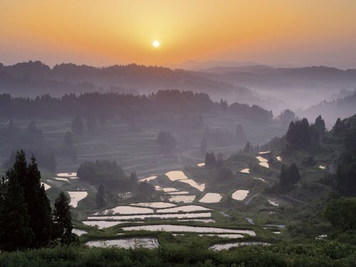 新潟県十日町市は「星峠の棚田」などの美しい田園風景が広がっています