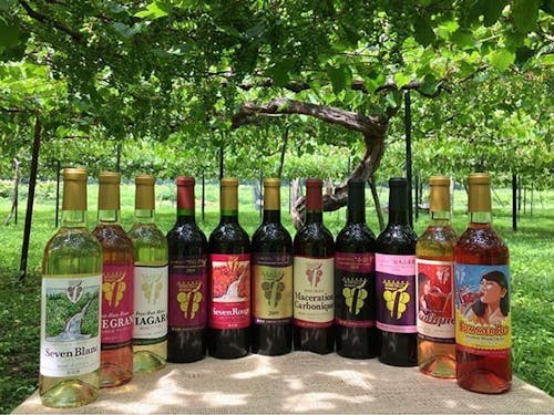 小坂七滝ワイン