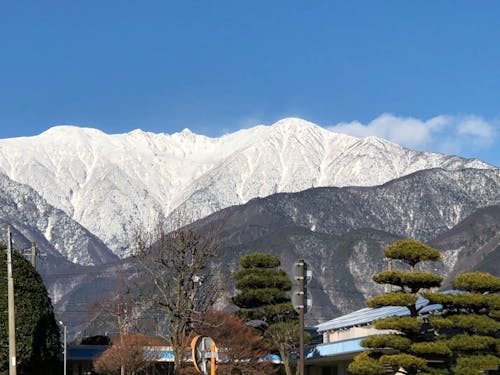 駒ヶ根市役所から見る真冬の中央アルプス