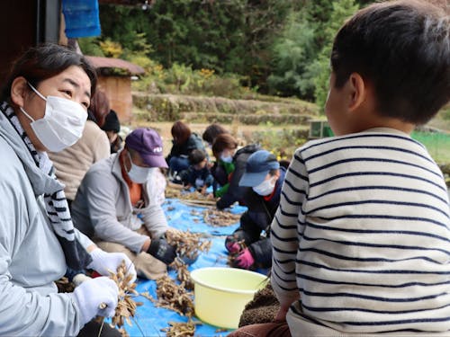 みんなで手作業で脱穀