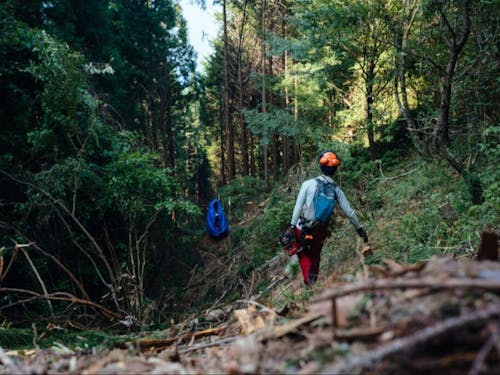 村の森を守る「根羽村森林組合」