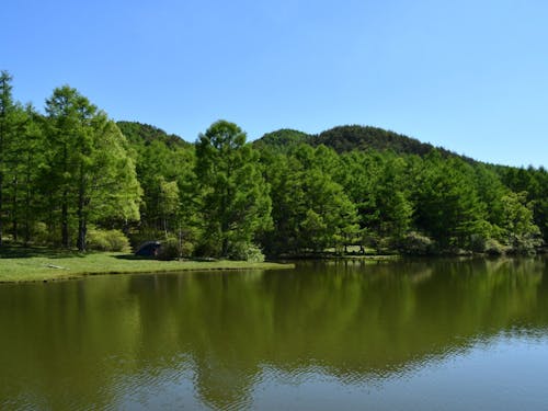 伊那でのくらしは、大きな自然に抱かれた日々です🌲