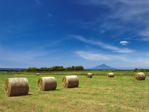 夏でも涼しい北海道最北部。どこか異国を思わせる風景