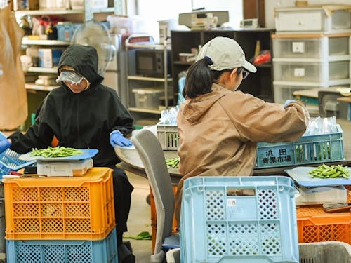 届けるための袋詰めも立派な農作業