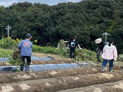 農業PJとして協力して農業に取り組む大人の島留学生