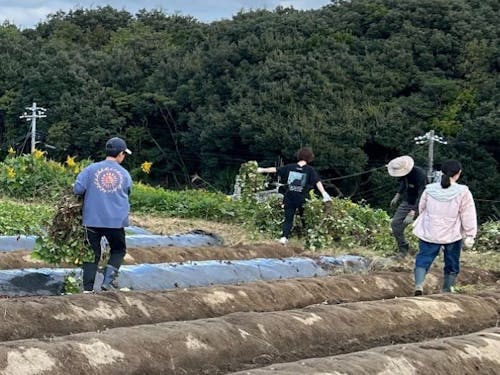 農業PJとして協力して農業に取り組む大人の島留学生