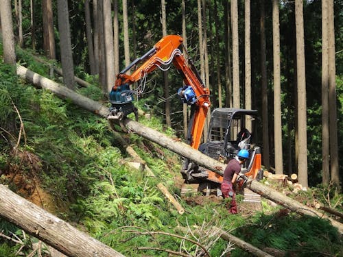 グラップルとチェーンソーマン