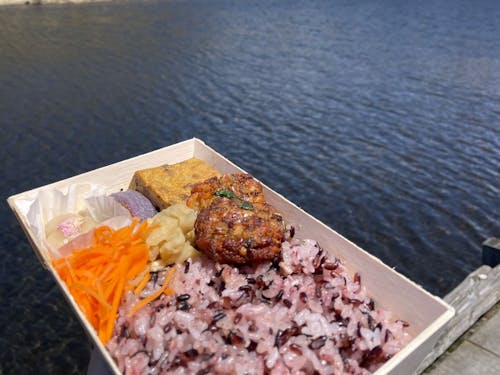 自然の中で地元食材を使ったお弁当を楽しむ