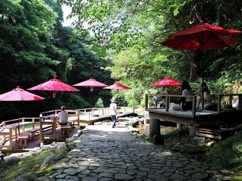 美しい渓谷沿い、数々の旅館が営まれている温泉地「山中温泉」