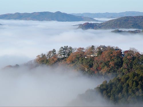 雲海に浮かぶ備中松山城