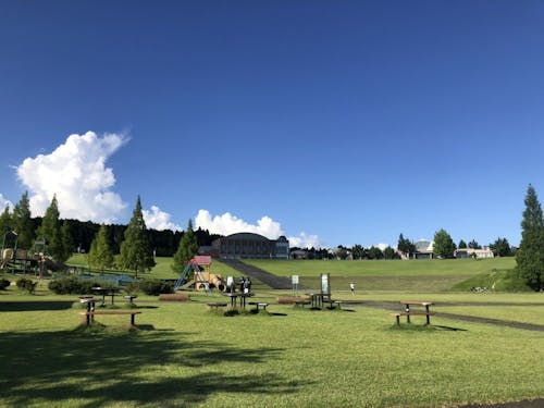 広い芝生と大きな遊具がある鹿深夢の森🌳