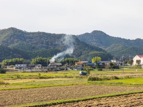 サト：農村エリアに広がるのどかな里山