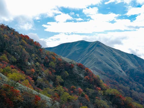 西日本第二の標高を誇る剣山。職場から1時間程度の距離で手軽に登山が楽しめます。