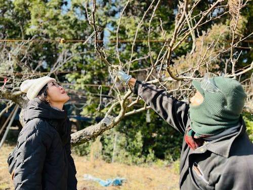 地域の未来をつなぐ!梨園再生プログラム!