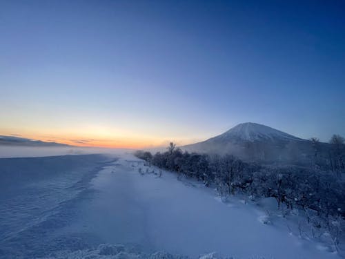 毎朝この景色を見ながら出勤。それだけで気持ちが晴れやかになります。