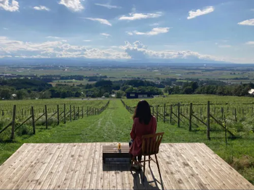 絶景テラス「MAOI SALUD」　町の丘陵地帯からの風景です！