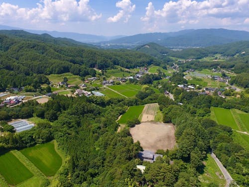 里山に囲まれた新山地区が会場です