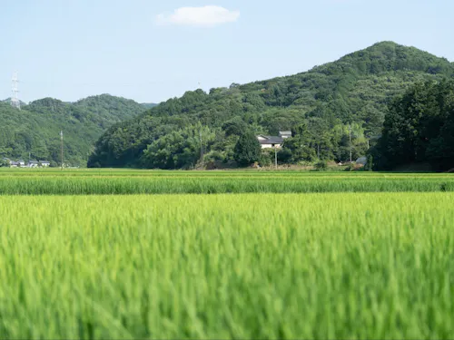山や田畑に囲まれた、のんびりとした空気のある町です