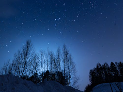 毎月下川町の季節のカレンダーをお送りします。