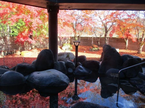 やしおの湯　男性露天（紅葉時期）