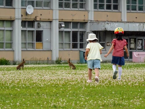 野生動物が身近にいます…！