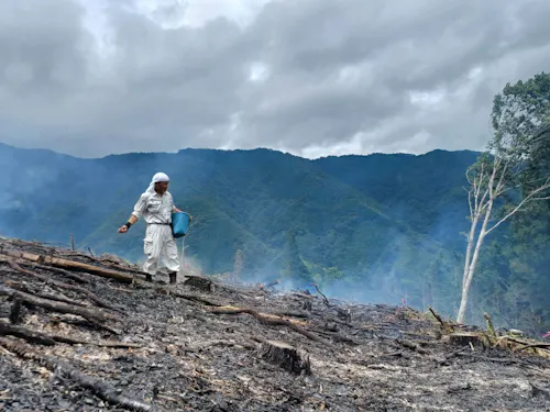 循環農法「焼畑」。雑穀や大豆を輪作したのち、広葉樹の森に還していく