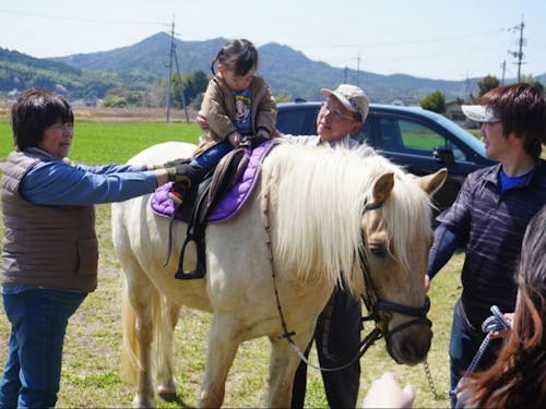 お先乗り馬に試乗してお散歩しませんか♪