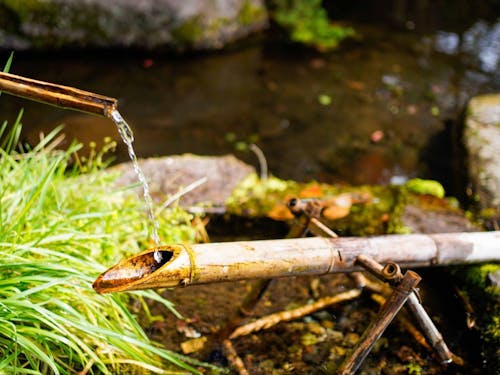 名水の町磐梯町の綺麗な水です!