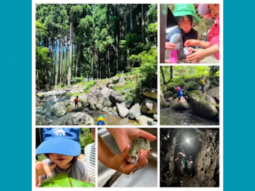子どもが本気で挑む、ワイルドな智頭の森の冒険