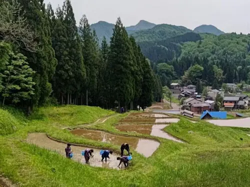 棚田での農作業。都会では体験できないけど、この地域では当たり前な光景。