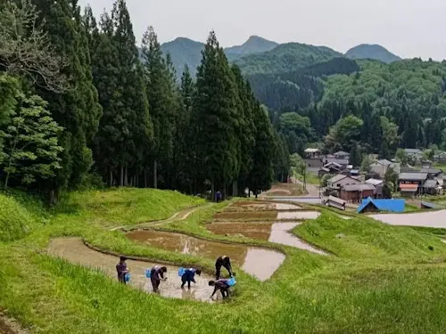 棚田での農作業。都会では体験できないけど、この地域では当たり前な光景。