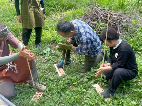 原始的な火起こし
