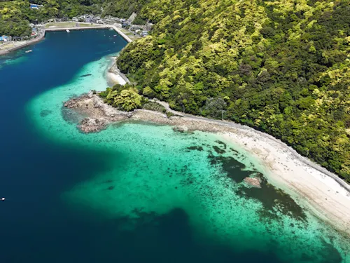 国内屈指の魚影の濃さと透明度を誇る海